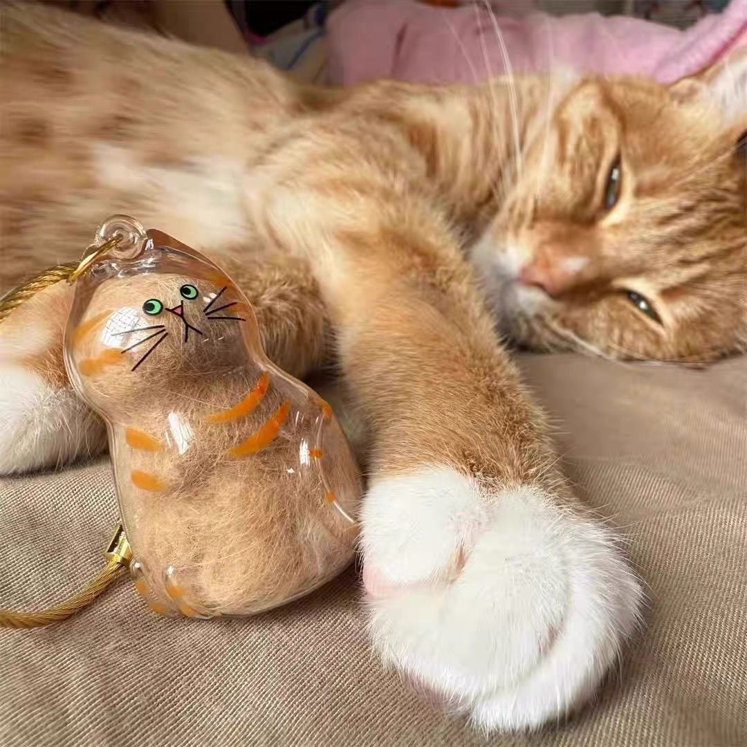 Cat Hair Keepsake Keychain Set (6 Pack) | Memorial Bottles for Fur, Whiskers & Precious Pet Memories