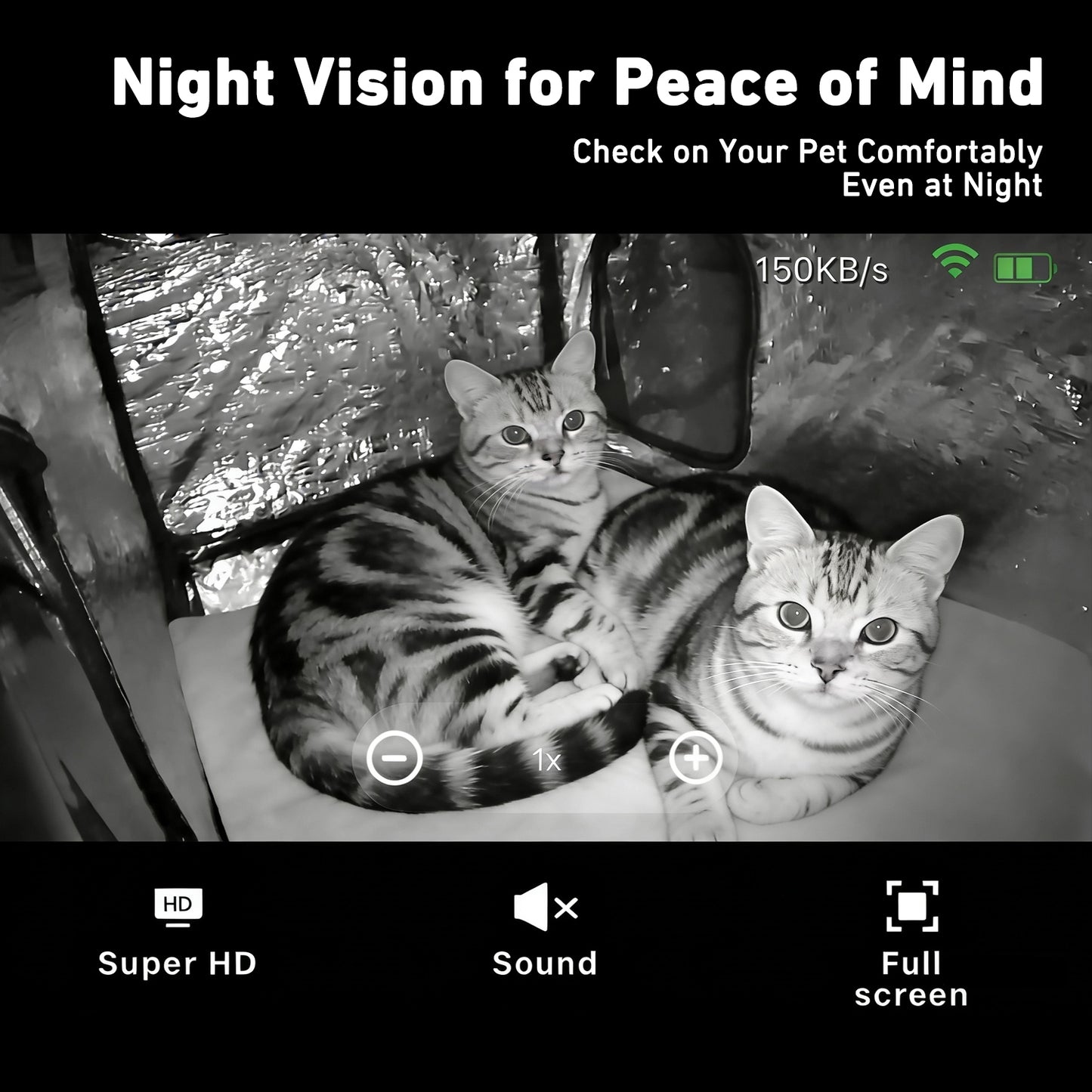 Pet House WiFi Camera | HD Monitoring Day & Night