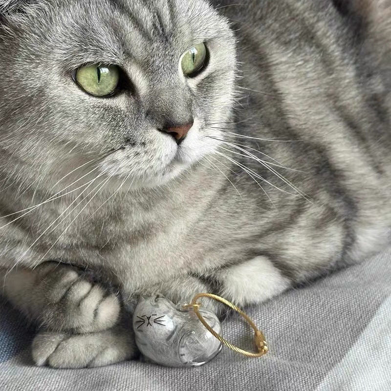 Cat Hair Keepsake Keychain Set (6 Pack) | Memorial Bottles for Fur, Whiskers & Precious Pet Memories