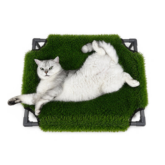 Pet Bed